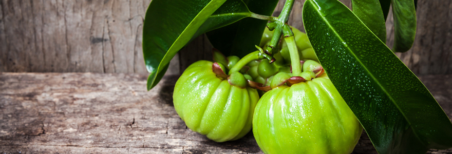 garcinia cambodia